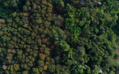 Choose environmentally friendly textiles