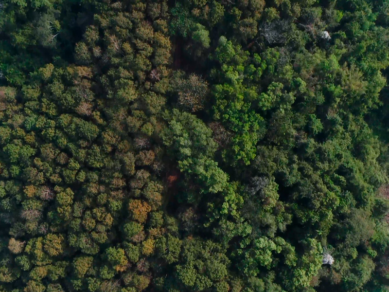 Choisissez des textiles écologiques