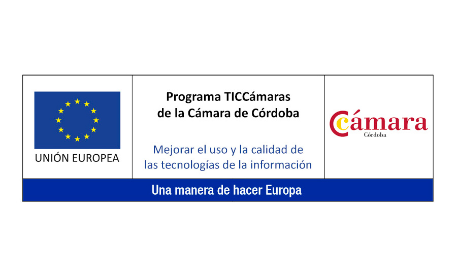 TICCámaras project of the Cordoba Chamber of Commerce