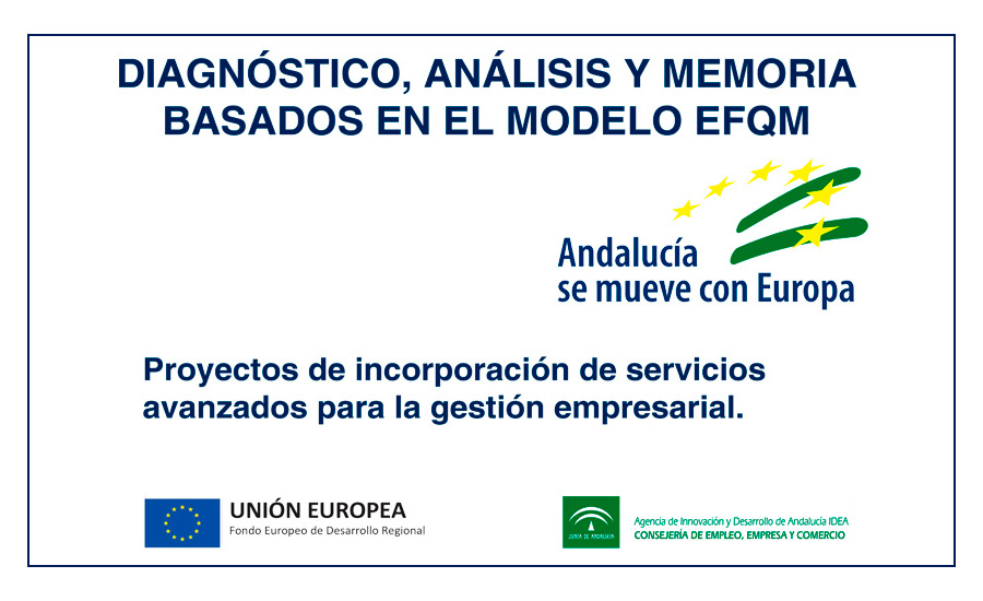 Diagnósticos, Análisis y Memoria basados en el modelo EFQM