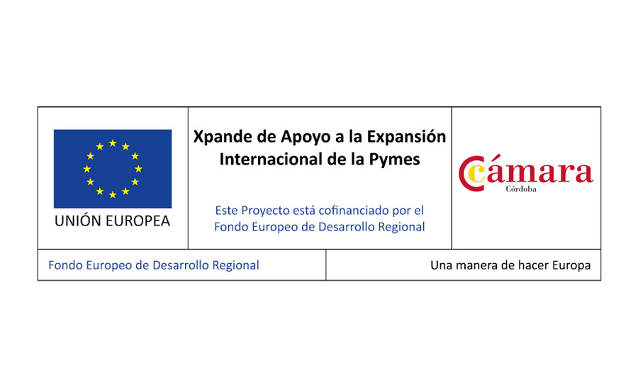 Xpande de Apoyo a la Expansión Internacional de la Pyme