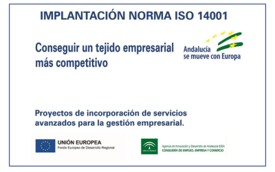 IMPLANTACIÓN NORMA ISO 14001