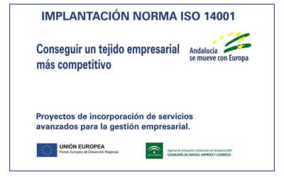 MISE EN ŒUVRE DE LA NORME ISO 14001