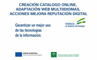 Creación catálogo online, adaptación web multiidiomas, acciones mejora reputación digital.