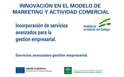 Innovación en el modelo de márketing y actividad comercial