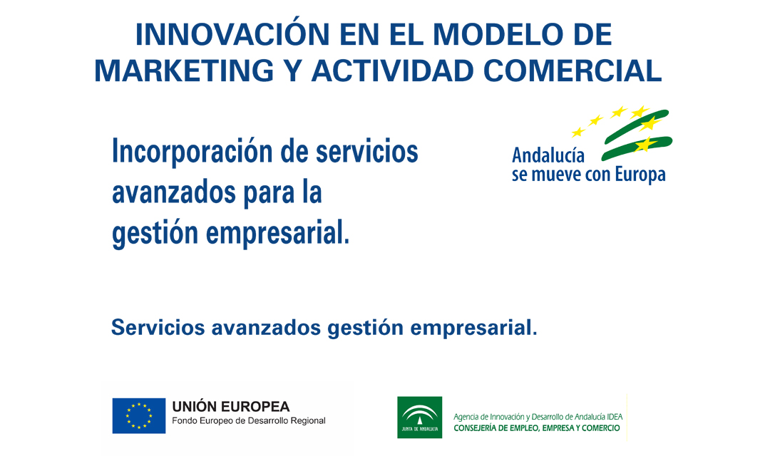 Innovación en el modelo de márketing y actividad comercial