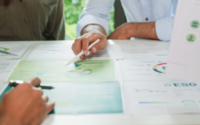 Rioma participates in the Sustainable Supplier program promoted by the United Nations.